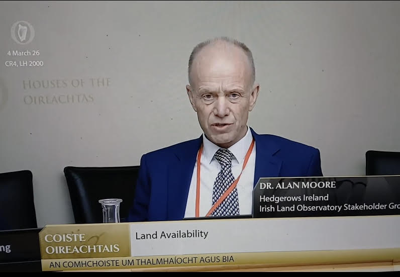 Alan Moore gives evidence at the Joint Oireachtas Committee