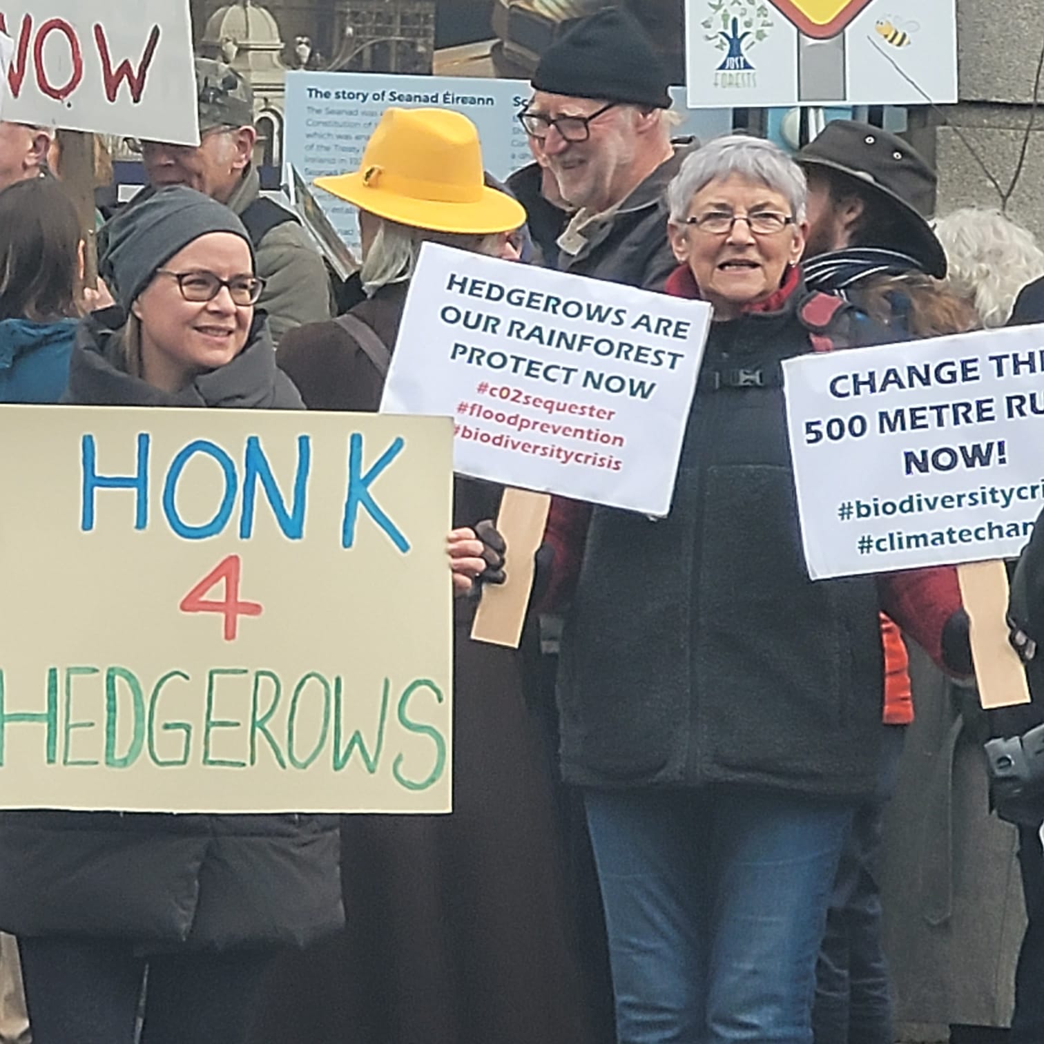 Dail Hedgerow protesters 
