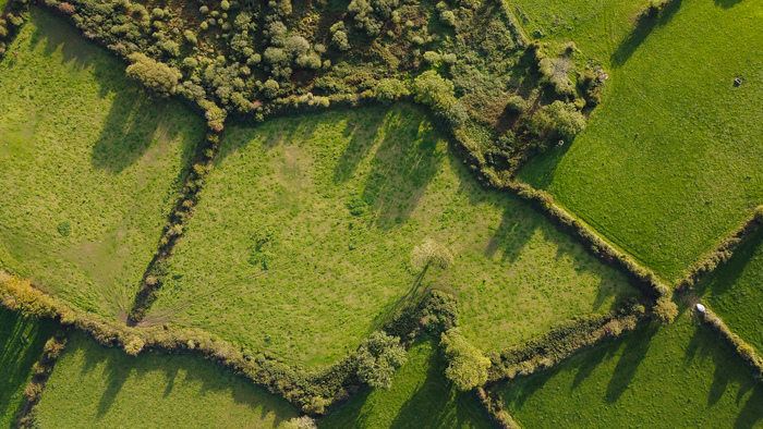 2nd prize under 18 Sean Whelan drone shot of fields divided by hedgerows