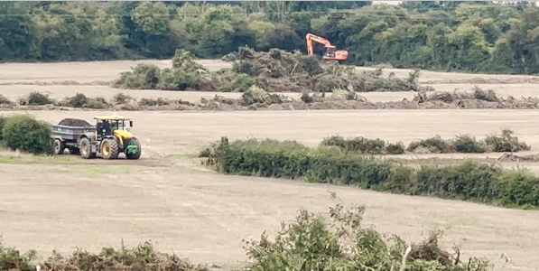 Still image from video evidence of illegal hedgerow removal near New Inn, Co. Tipperary